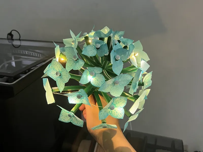 Hydrangea Flowers