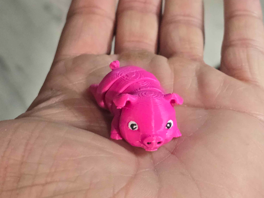 Flexi Pig (JuanMakes)