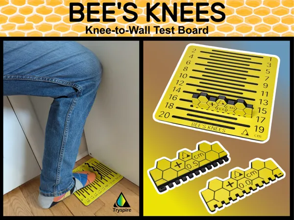 https://makerworld.bblmw.com/makerworld/model/US2359f1df38c5d6/design/d026751191152d2a.png