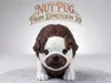 AMS NUTPUG