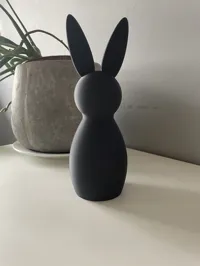 Hase big