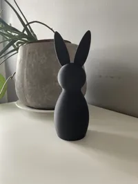Hase medium