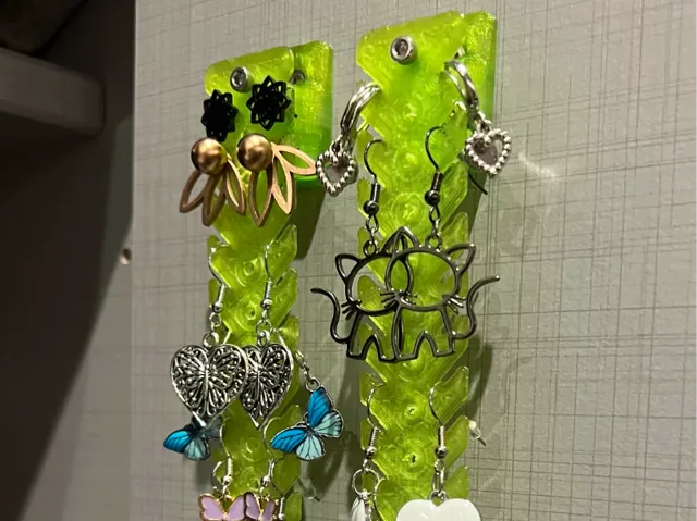 Removable earring hanger