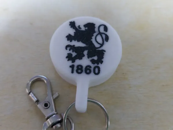 https://makerworld.bblmw.com/makerworld/model/US236bd268a7e7de/design/2024-11-15_d8068ff757a9c.jpg