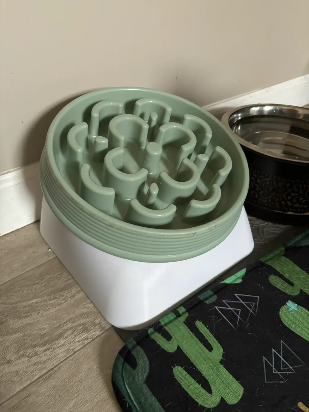 Picture Idea: Raised And Angled Stand For Slow Feed Dog Bowl 15