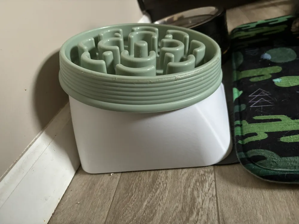 Fresh Look at Raised And Angled Stand For Slow Feed Dog Bowl 15
