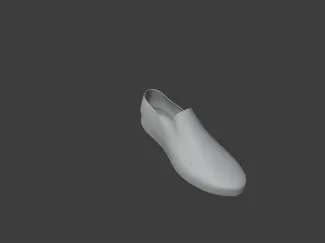 shoe