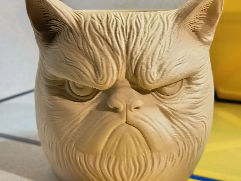 Grumpy Cat Flower Pot / Pen Holder