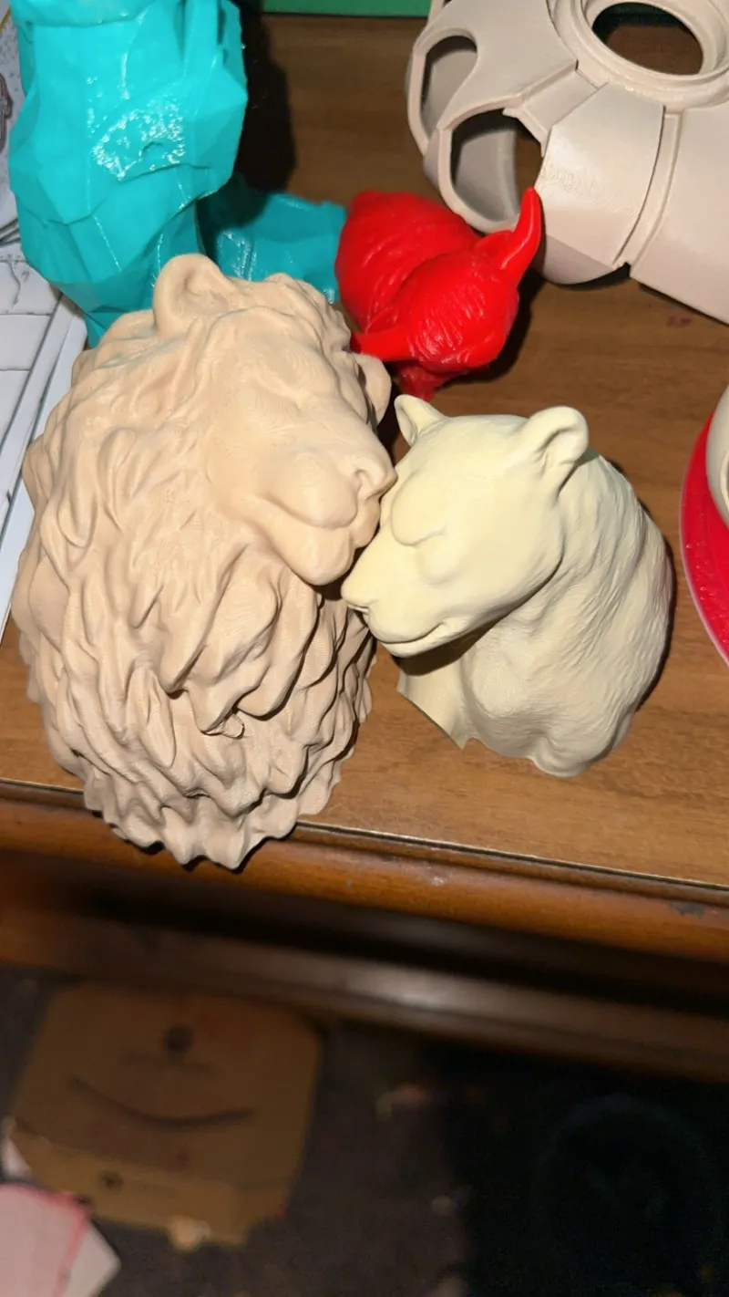 lover lions 100% and 200%