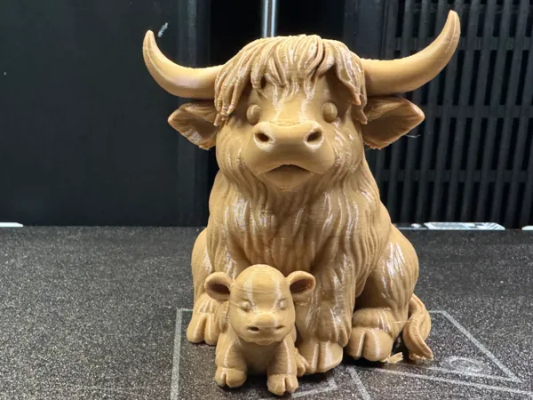 https://makerworld.bblmw.com/makerworld/model/US237935cb9fa67f/design/2025-08-25_13972616021f68.jpg