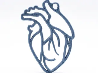 Chaveiro Coração Anatomico