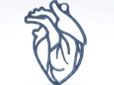 Anatomical Heart Keychain