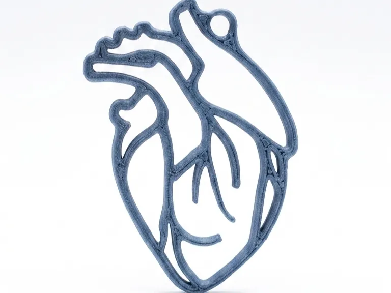 Chaveiro Coração Anatomico