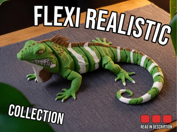 https://makerworld.bblmw.com/makerworld/model/US238056056a0cdf/design/c107ff375403da0f.jpg