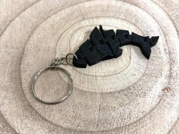 https://makerworld.bblmw.com/makerworld/model/US238220a6ada873/design/2024-09-22_f5df77d1ba33.jpg
