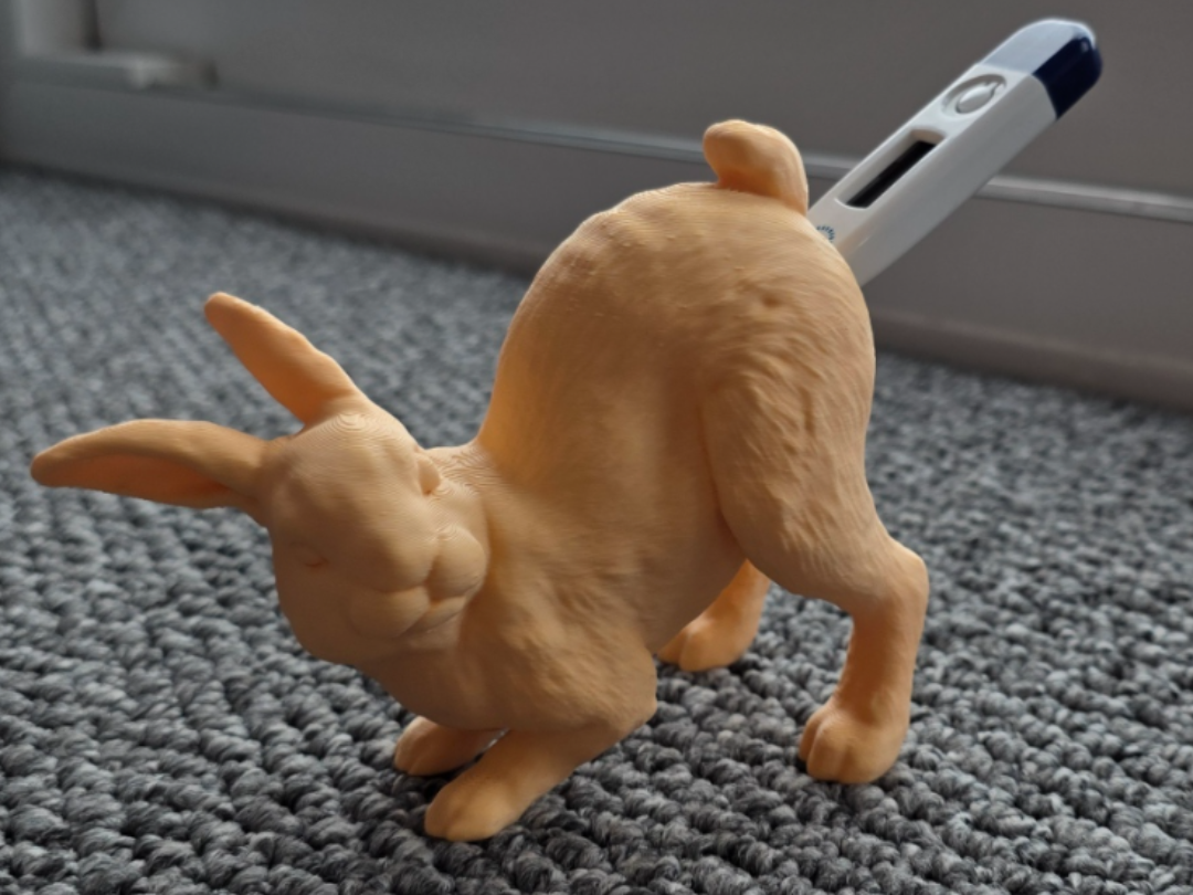 funny bunny thermometer holder