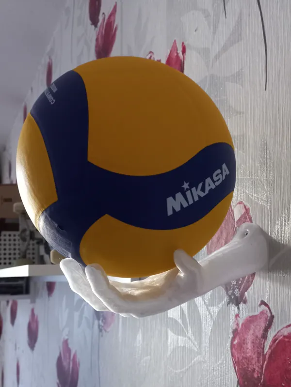 https://makerworld.bblmw.com/makerworld/model/US23885911e5cbb0/design/2024-07-30_132b7e792307c.jpg