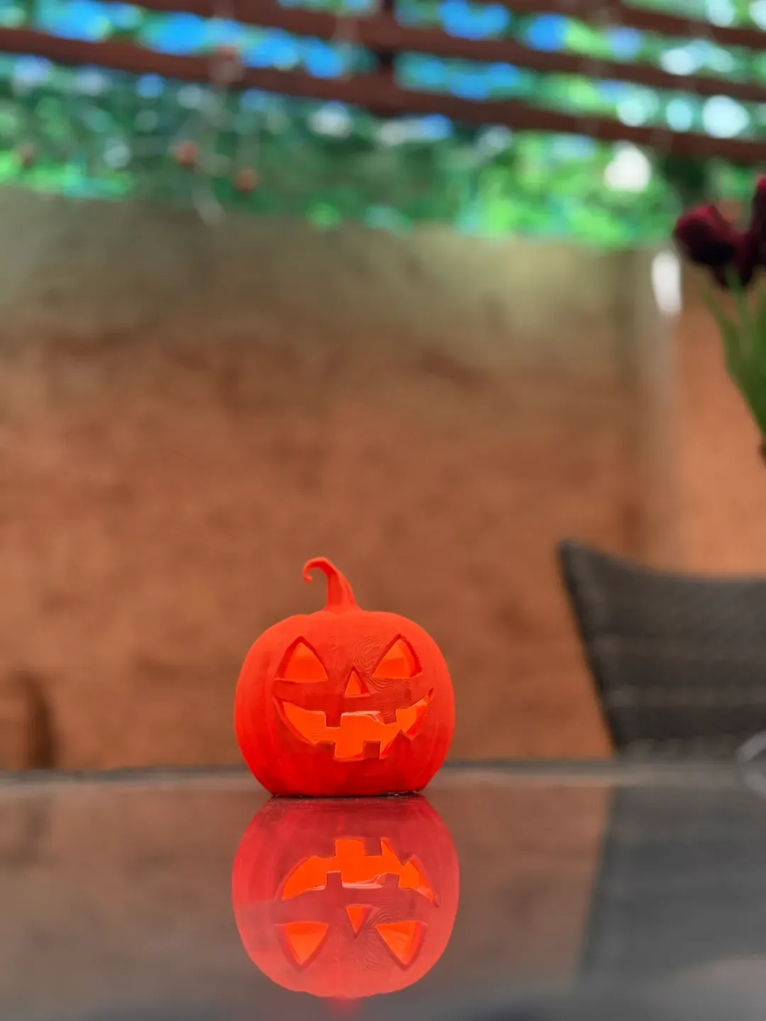 Pumpkin Lead view 2