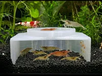0.16mm layer, 5 walls, 90% infill