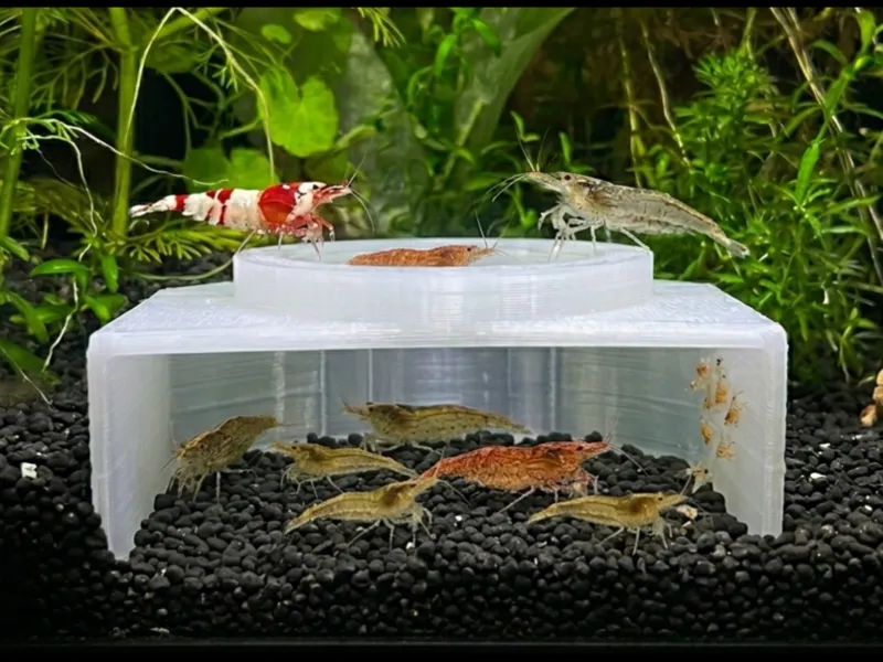 Garnelen-Höhle – Aquarium Shrimp Cave | Ø 61mm