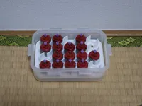 Boîtier moteur pour Mini 4WD — photo 2