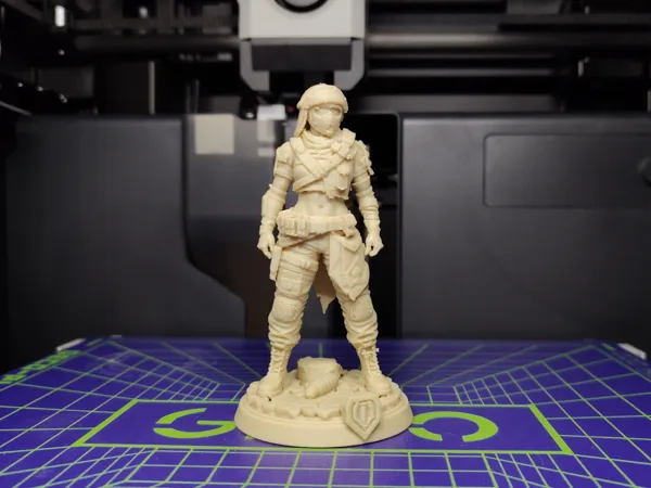 https://makerworld.bblmw.com/makerworld/model/US238cfc7d28002c/design/0d7dcf84aea177e4.jpg