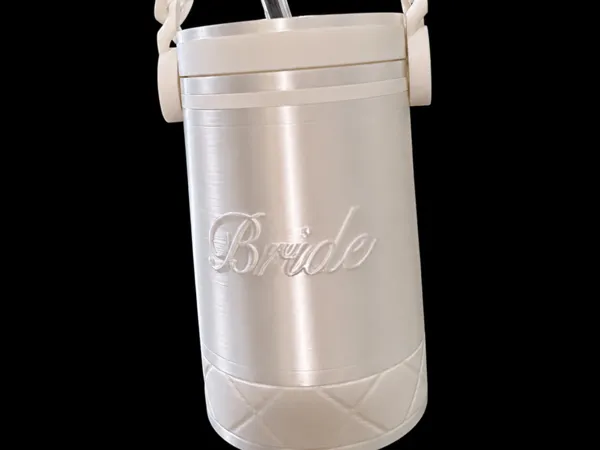 https://makerworld.bblmw.com/makerworld/model/US23907025d48666/design/cdf926a659434d49.png