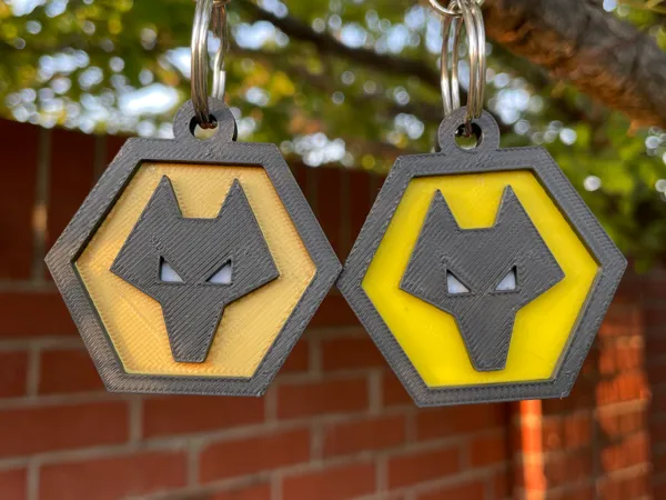 https://makerworld.bblmw.com/makerworld/model/US23911d54406d35/design/2024-10-08_cdb6a568db09c.jpeg