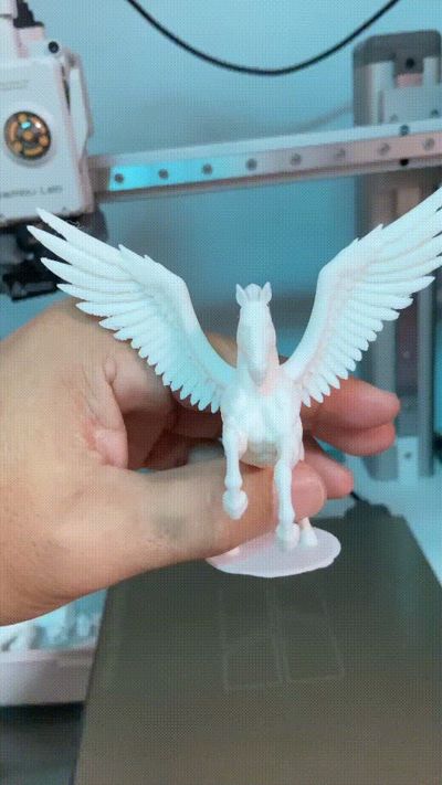 Pegasus