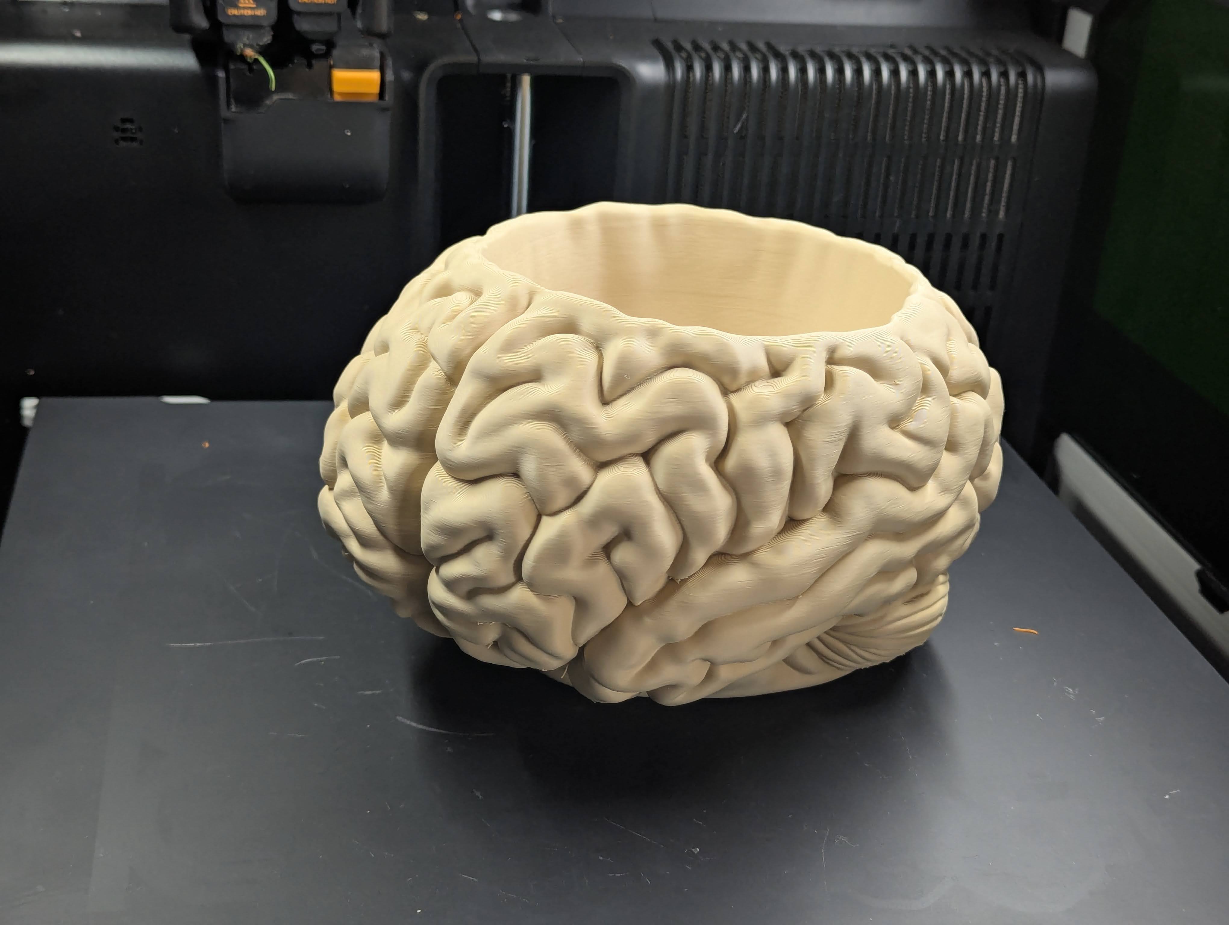 Brain bowl - Halloween candy bowl - 1