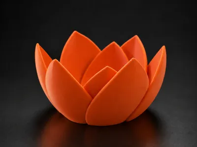 Lotus Flower Bowl