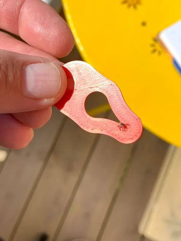 https://makerworld.bblmw.com/makerworld/model/US23a5eb22fb4219/design/2024-02-05_c6c54684484ff.webp