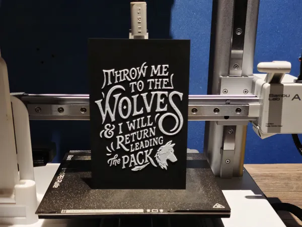 https://makerworld.bblmw.com/makerworld/model/US23a6567a3e9883/design/2024-07-22_682c164d4d039.jpg