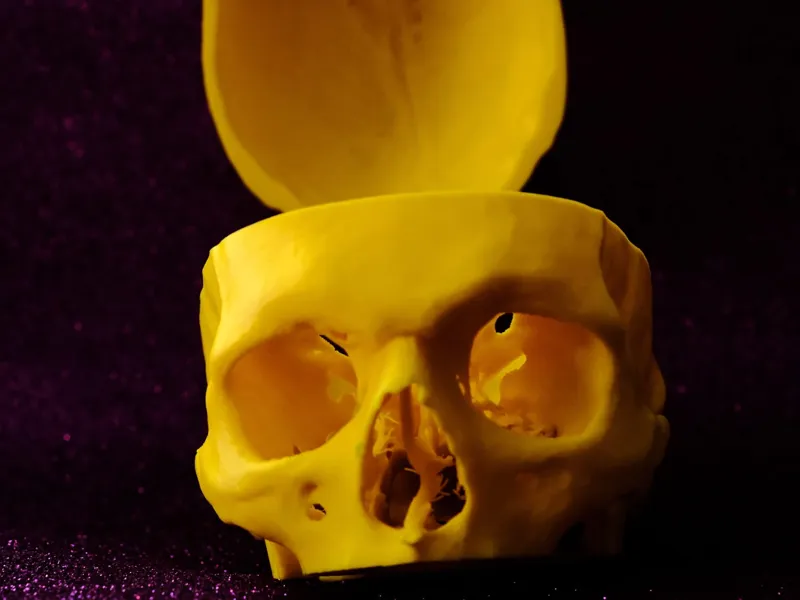 Real skull scary multiuse case - lantern - Drum