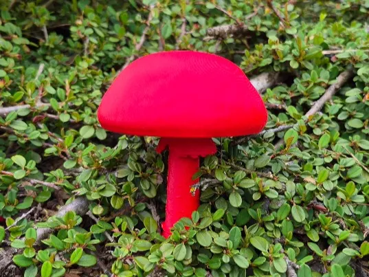 mushroom red