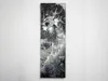 50x150mm