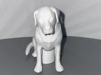 Labrador Toothpaste Topper