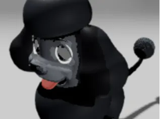 poodle