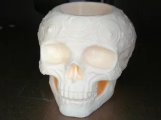 Skull pen holder