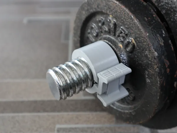 https://makerworld.bblmw.com/makerworld/model/US23c28d8671363a/design/2024-10-16_aa752a3d177e9.jpg