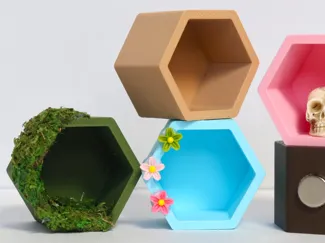 Hex Jumping Spider Hide Mix & Match