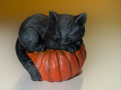 Nightcurl – Sleeping Cat on Pumpkin