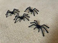 Araignée sucette à 8 pattes — photo 3