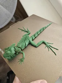 Single Color - 0.12mm layer, 2 walls, 8% infill