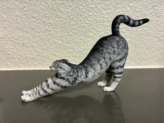 Cat Stretching