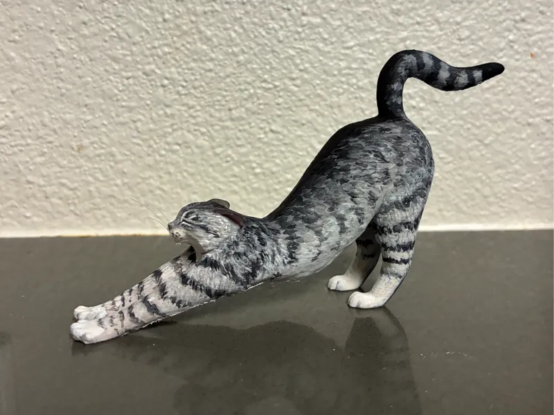Cat Stretching