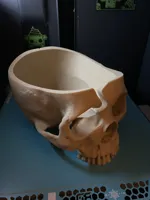 Skull Bowl 0.16mm layer, 2 walls, 10% infill