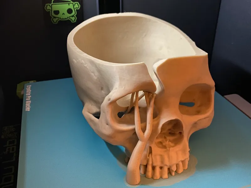 Skull Yarn Bowl Smooth Curved Top