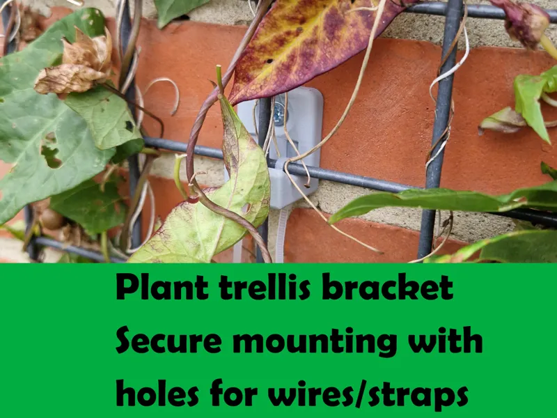 Plant trellis mounting bracket