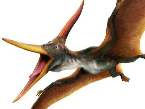 pteranodon